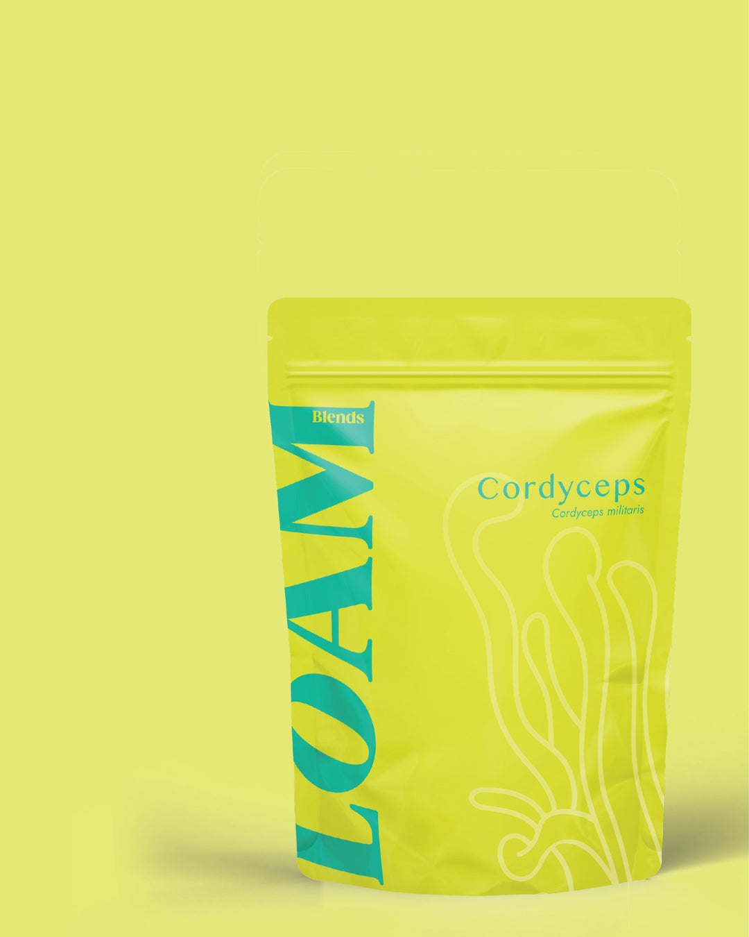 Cordyceps Organic Extract Powder