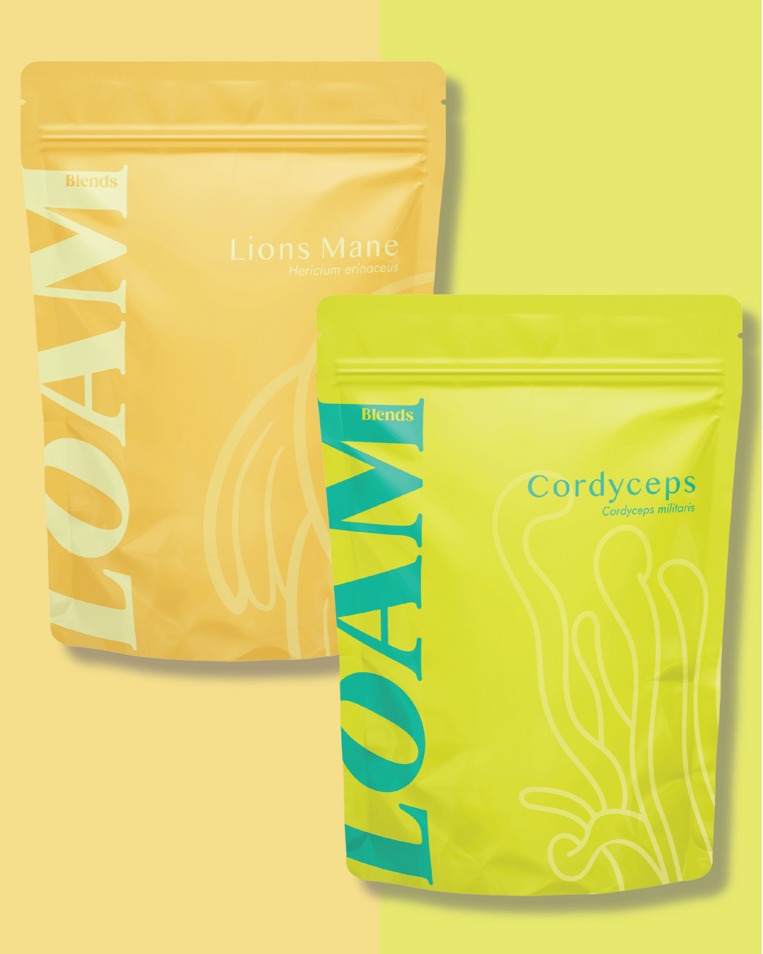 Lion’s Mane & Cordyceps Bundle