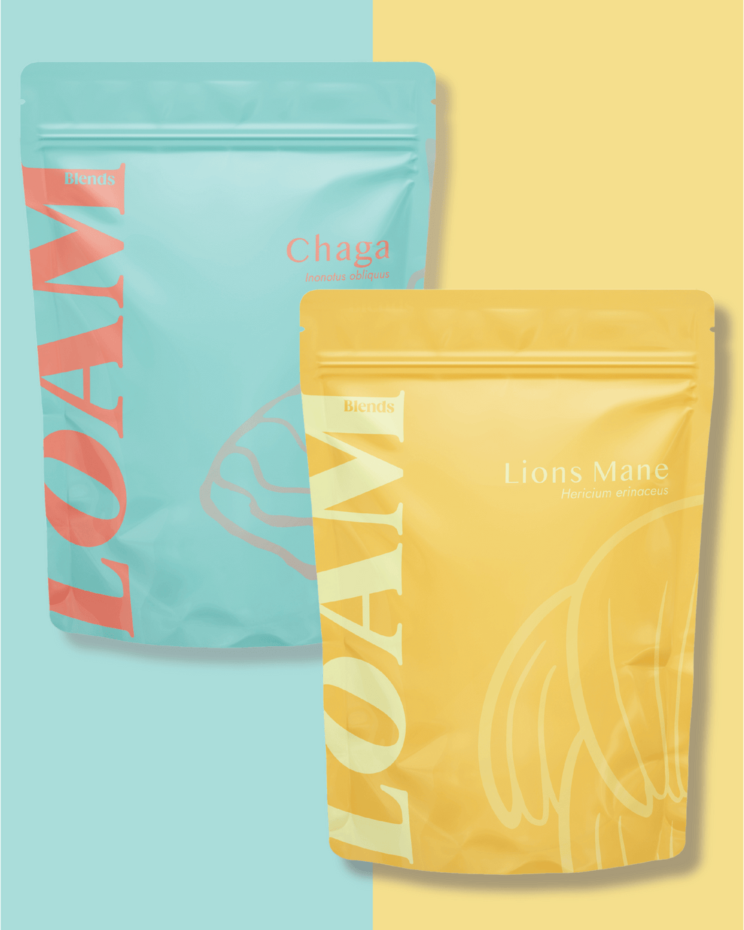 Chaga & Lions Mane Bundle