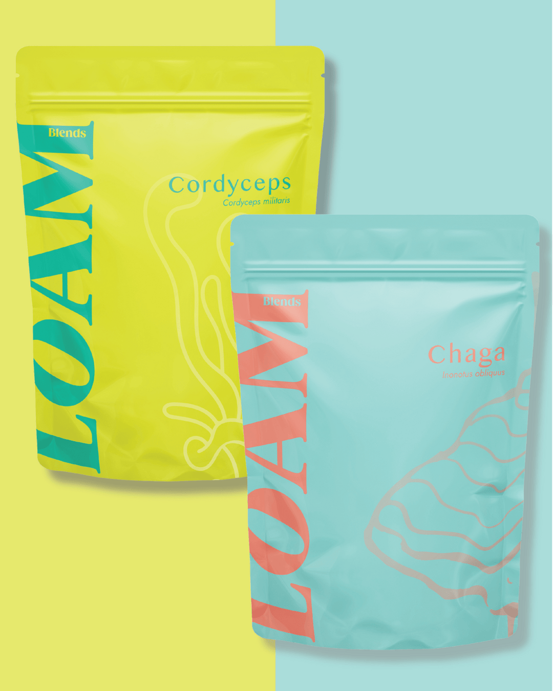 Cordyceps & Chaga Bundle