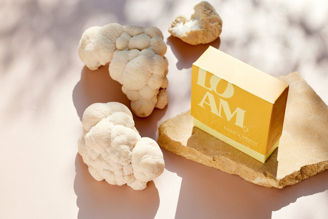 Lion’s Mane Organic Extract Powder