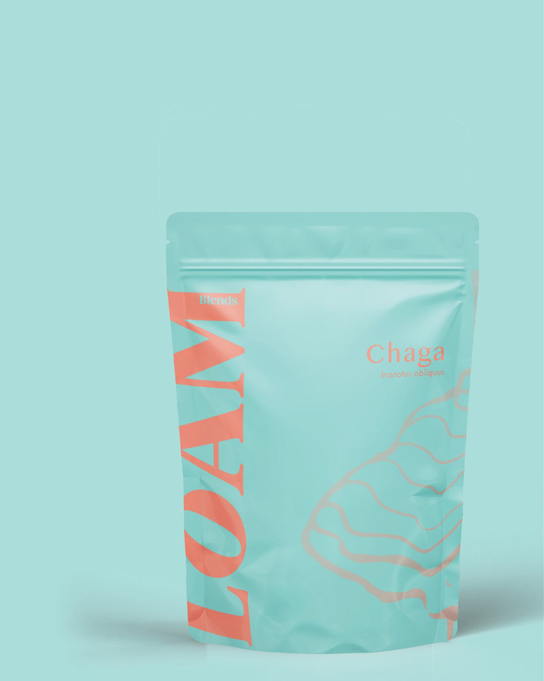 Chaga Organic Extract Powder