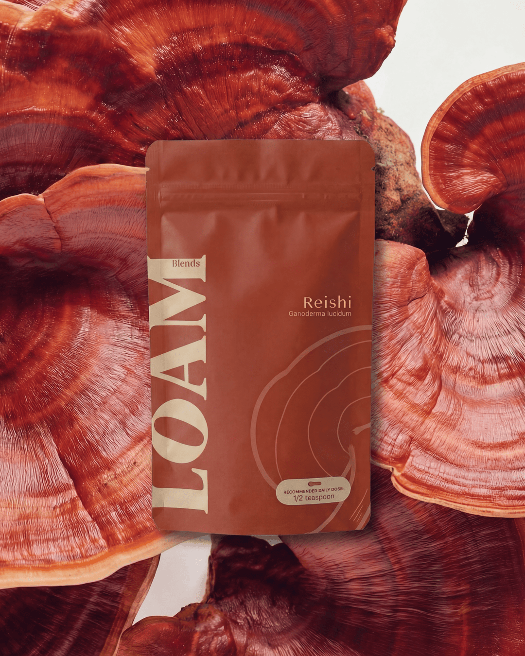 Reishi 10 Servings Organic Extract Powder